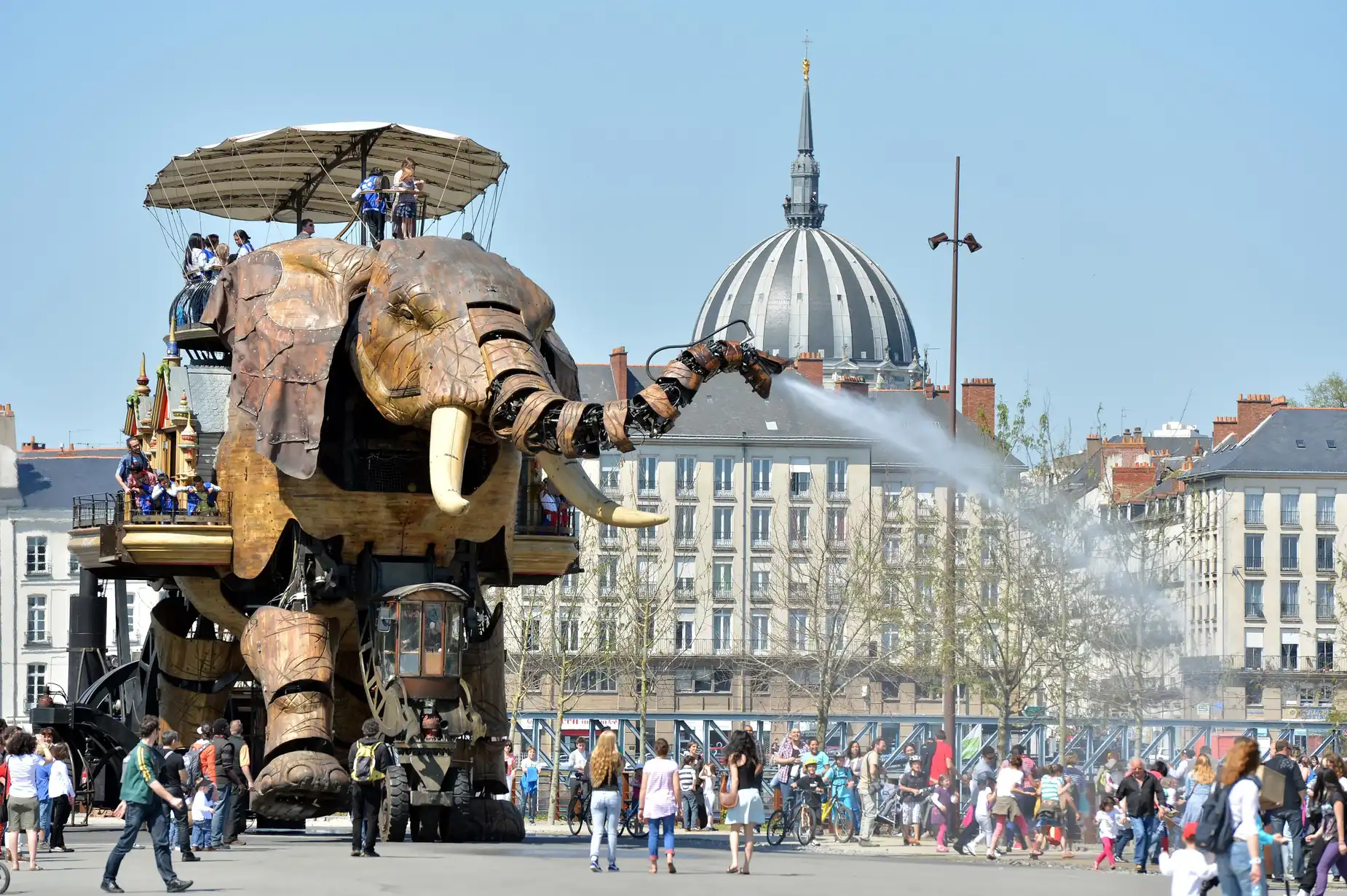 Embarquement à bord du Grand Éléphant une expérience unique au monde