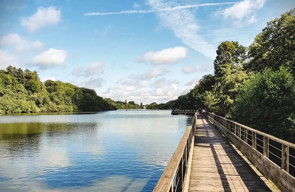 Circuit de randonnée au bord de l’Erdre (Bassin Ceineray – Pont de la Jonelière)