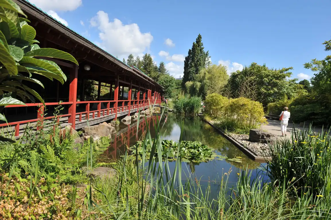 Île de Versailles à Nantes : découvrez ce jardin japonais unique