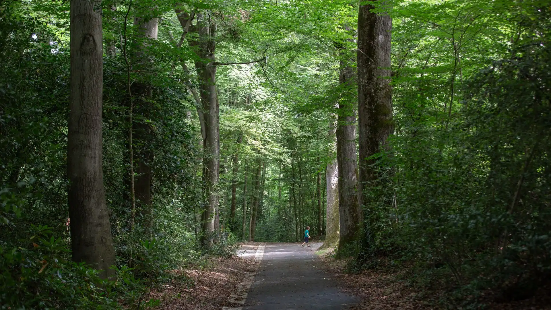Parc de la Gaudinière Nantes nature, château et balades en famille