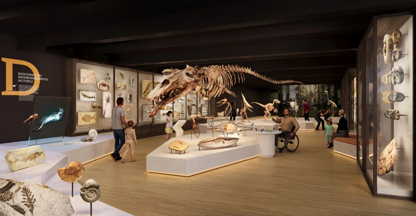Musée d’Histoire Naturelle