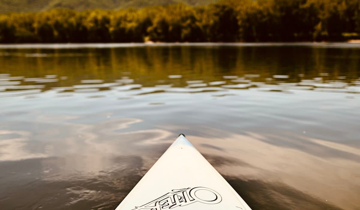 Kayak blanc et noir posé sur une rivière calme bordée d'arbres en pleine journée