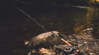 Homme pêchant à la ligne au bord d'une rivière calme