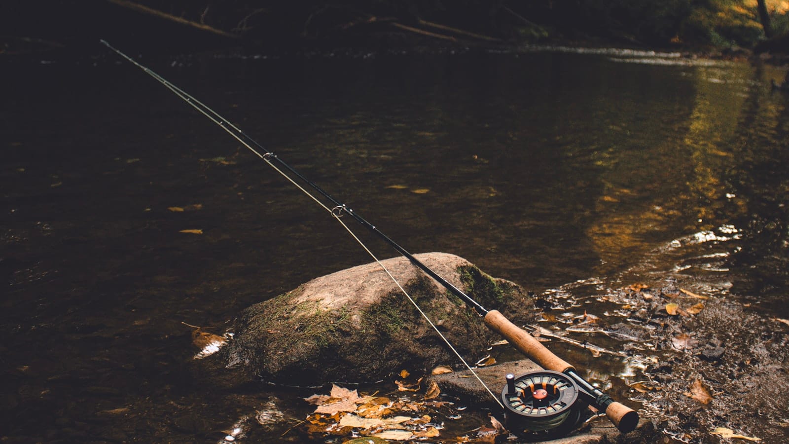 Homme pêchant à la ligne au bord d'une rivière calme